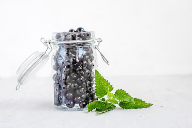 Geschmackvolle Schwarze Johannisbeere mit Minze in einem Glasgefäß. Weißer Hintergrund.