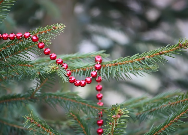 Geschmückte Weihnachtsbaumzweige im Freien