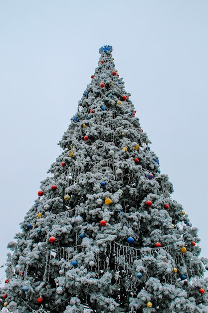 Geschmückter Weihnachtsbaum bedeckt mit Raureif in einem Stadtpark