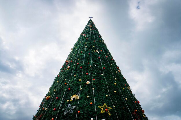 Geschmückter Weihnachtsbaum. Weihnachtsbaum gegen Hintergrund des blauen Himmels.