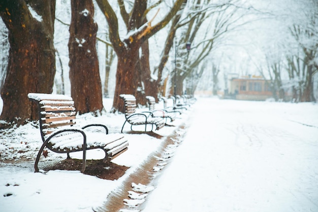 Geschneiter Stadtpark Winterzeit Weihnachten