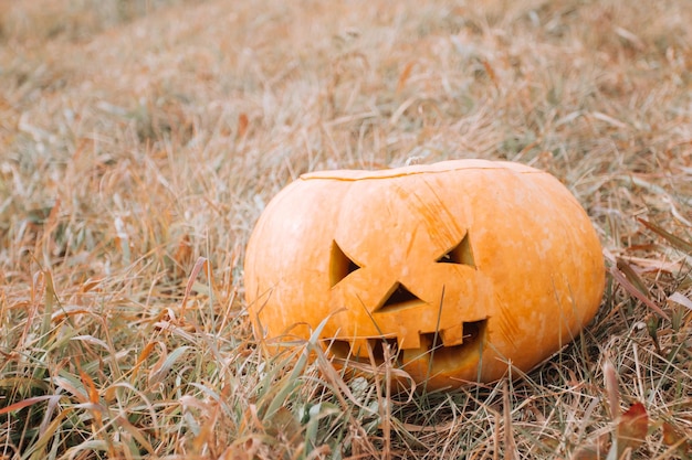 Geschnitztes Kürbishalloween auf dem Gebiet.