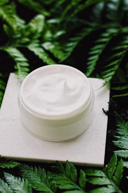 Gesichtscreme-Feuchtigkeitscreme-Glas im grünen Garten, natürliche Kräuter-Hautpflege-Kosmetik und organisches Anti-Aging-Produkt für Gesundheit und Schönheit