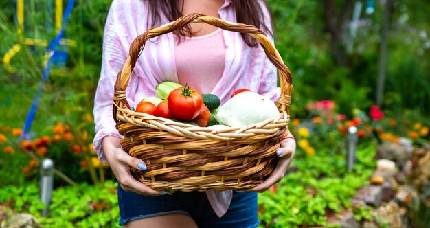 Gesichtslose Bauernfrau mit einem Korb in allen Arten von Gemüse auf einem Glas