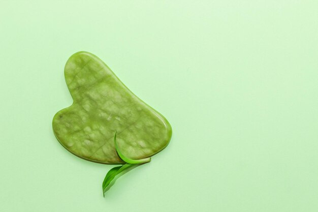 Gesichtsmassage-Jade-Gouache-Schaber mit Pflanze auf abstraktem Papierhintergrund