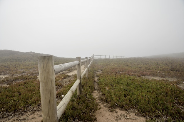 Gestalten Sie Ansicht des grünen Grases und des Bretterzauns in Cabo da Roca landschaftlich