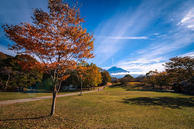 Gestalten Sie Bild von Fuji-Berg über See Tanuki mit Herbstlaub bei Sonnenaufgang in Fujinomiya, Japan landschaftlich.