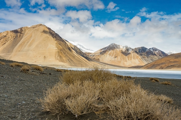 Gestalten Sie Bild von Pangong See und von Mountain Viewhintergrund in Ladakh, Indien landschaftlich.