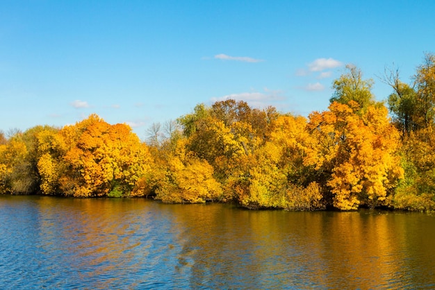 Gestalten Sie gelbe Bäume an den Ufern eines großen FlussesxA