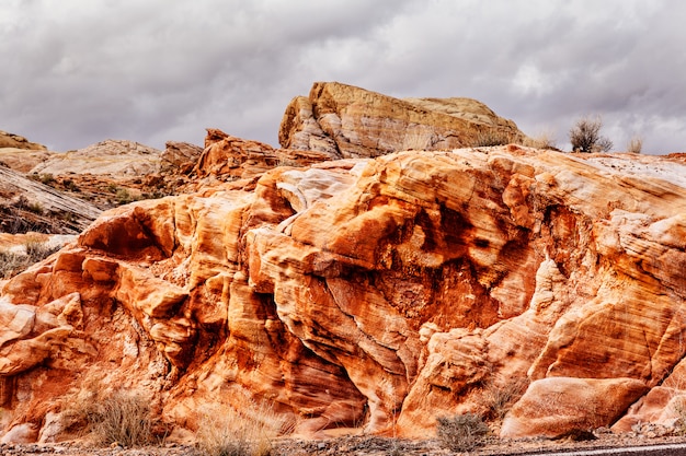 Gestalten Sie mit Nahaufnahme von Felsformationen in der Wüste, USA landschaftlich