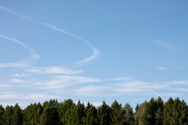 Gestalten Sie mit Wipfeln auf einem blauen Himmel landschaftlich