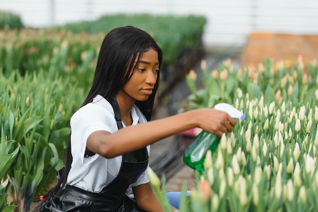 Gestão da agricultura. Sorrindo, afro-americano regando flores em estufa, vista lateral, espaço livre