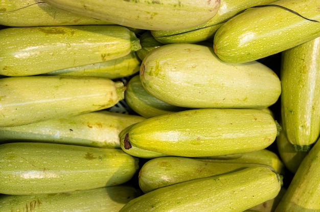 gestapelte Zucchini Nahaufnahme