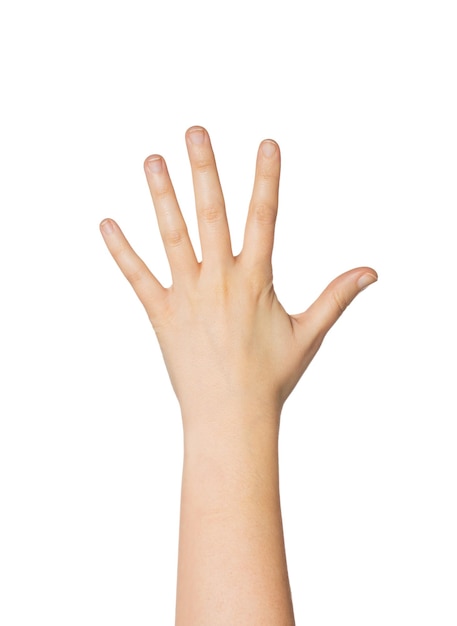 Foto gesten-, zähl- und körperteilkonzept - nahaufnahme der hand mit fünf fingern