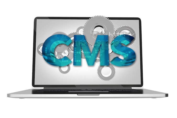 Foto gestión de contenidos del sitio web