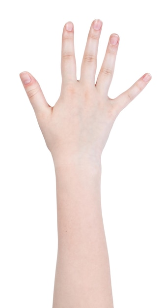 Gesto de mão de cinco dedos isolado