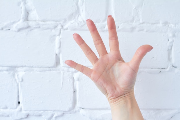 Gesto de la mano aislado en el fondo blanco de la pared de ladrillo