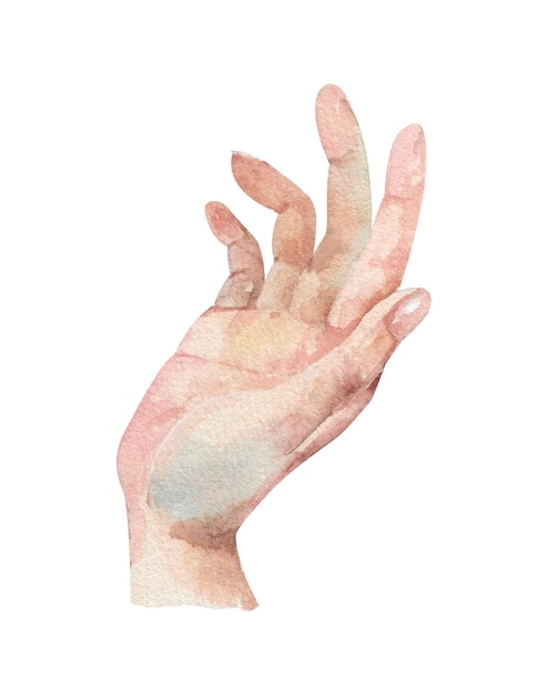 Gesto de mano humana sosteniendo algo dibujado ilustración de acuarela aislada sobre fondo blanco