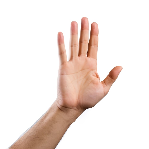 Foto el gesto de la mano humana