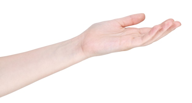 Gesto de la mano de misericordia aislado en blanco