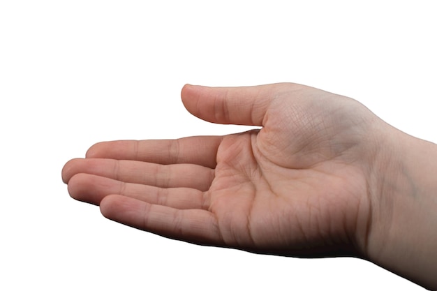 El gesto de las manos, las posturas de las mano, los gestos de la mano humana.