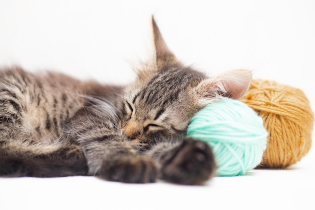 Gestreifte Katze mit blauen Bällen Garnstränge auf einem weißen Bett Ein Artikel über Kätzchen Ein Artikel über Haustiere