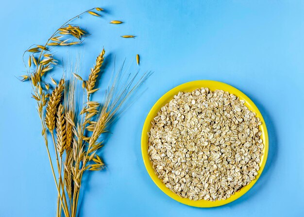 Gesunde Ernährung für Kinder und Erwachsene Haferflocken auf einem gelben Teller und Ährchen von Getreide auf blauem Hintergrund Nahaufnahme mit Platz für Text Landwirtschaftliche Lebensmittel für Kinder