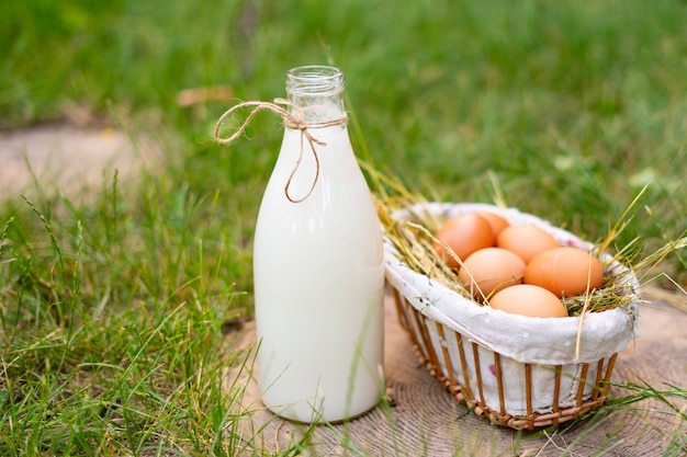 Gesunde frische Milchprodukte aus Milch und Eiern auf den Höfen