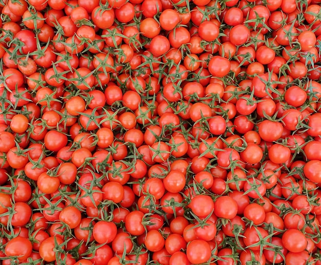 Gesunde und saftige Gemüsetomate in einem Basar