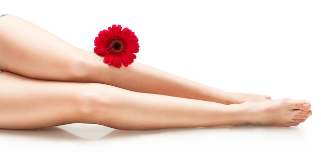 Gesunde weibliche Beine Spa Lange Frauenbeine und Orchideen isoliert auf weißem Hintergrund Hautpflege Enthaarung Epilation