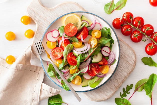 Gesunder bunter veganer Tomatensalat mit Gurke, Radieschen, Zwiebel