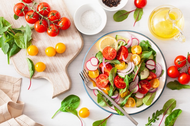 Gesunder bunter veganer Tomatensalat mit Gurke, Radieschen, Zwiebel