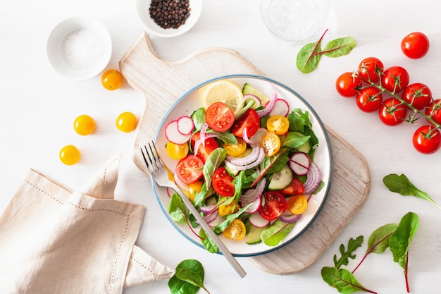 Gesunder bunter veganer Tomatensalat mit Gurke, Radieschen, Zwiebel