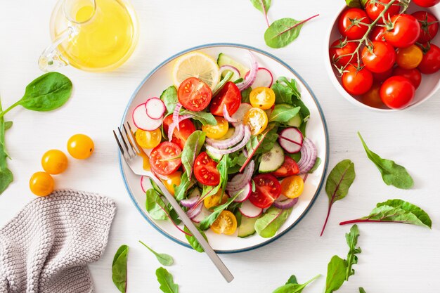 Gesunder bunter veganer Tomatensalat mit Gurke, Radieschen, Zwiebel