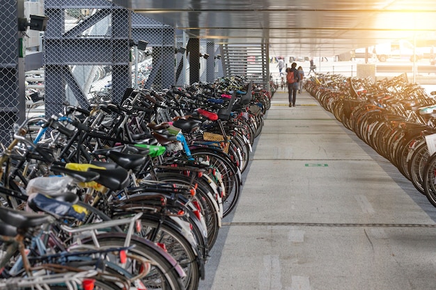 Gesunder Lebensstil. Fahrradparken in Amsterdam, Niederlande