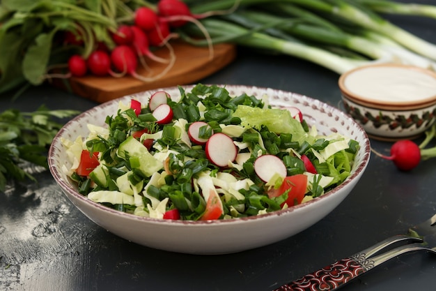 Gesunder Salat mit frischem Gemüse: Radieschen, Gurken, Frühlingszwiebeln, Dill, Petersilie, Tomaten, Kohl und Spinat horizontales Foto