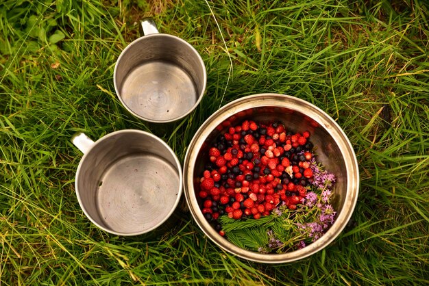 Gesundes Frühstück mit einer Mischung aus rohen frischen Beerenfrüchten