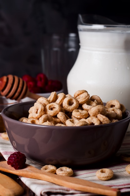 Gesundes Frühstück - Müsliringe in einer Schüssel mit Milch