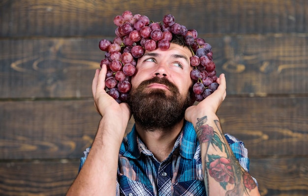 Gesundes Haarkonzept selbstbewusster Mann Erntefest bärtiger reifer Bauer mit nützlichem Obst Sommer saisonales Vitamin Bio-Naturkost Dies ist mein Lieblingsweinberg