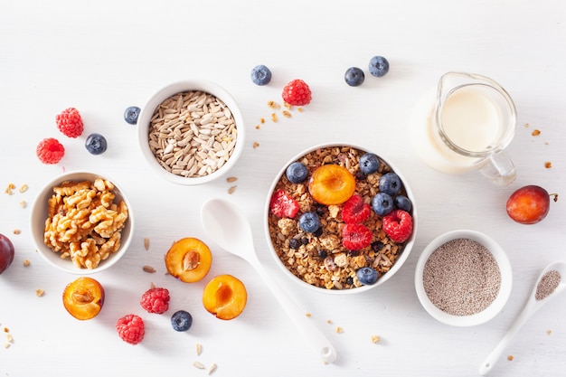 Gesundes Müsli zum Frühstück mit Beerenfrucht, Pflanzenmilch