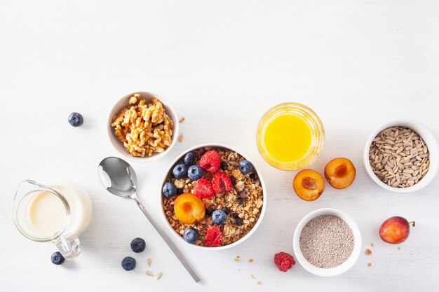 Gesundes Müsli zum Frühstück mit Beerenfrucht, veganer Milch