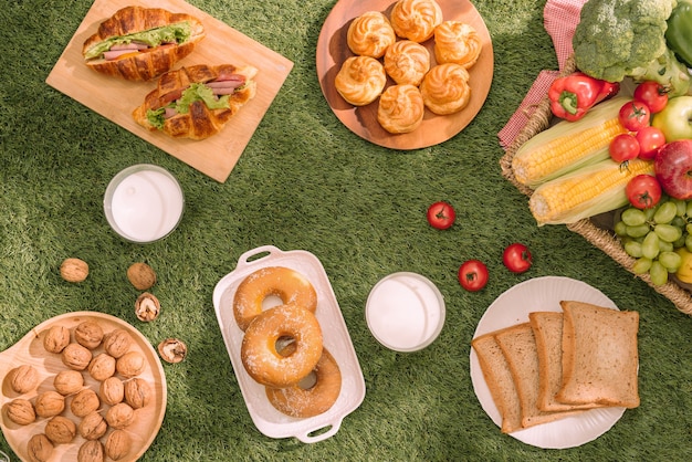 Gesundes Picknick für den Sommerurlaub mit frisch gebackenen Croissants, frischem Obst und Obstsalat, Sandwiches und einem Glas erfrischenden Orangensaft auf einem rot-weiß karierten Tuch und Korb