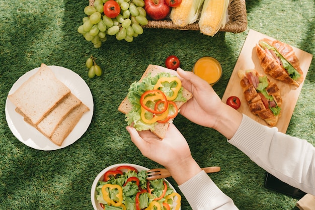 Gesundes Picknick für einen Sommerurlaub im Park auf der Wiese.