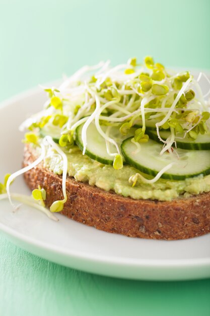 Gesundes Roggenbrot mit Avocado-Gurken-Rettichsprossen