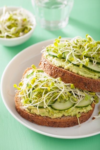 Gesundes Roggenbrot mit Avocado-Gurken-Rettichsprossen