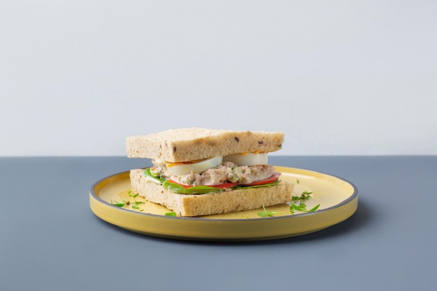 Gesundes Thunfisch-Sandwich mit Eiertomate und Salat in gelber Platte auf grauen Trendfarben hochwertige ...