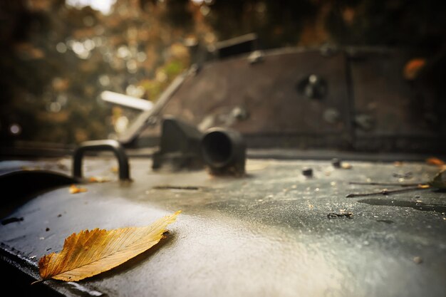 Getöntes Foto Eine selektive Fokusaufnahme eines verlassenen Militärpanzers im Wald