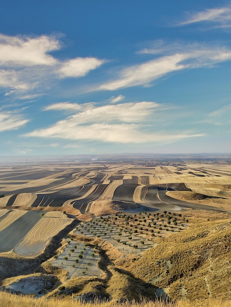 Getreide- und Olivenanbaufelder in der Region La Sagra, Toledo (Spanien).