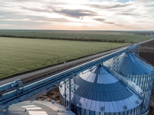 Getreideelevator Metallgetreideelevator in der landwirtschaftlichen Zone Landwirtschaftsspeicher für Erntegetreidesilos