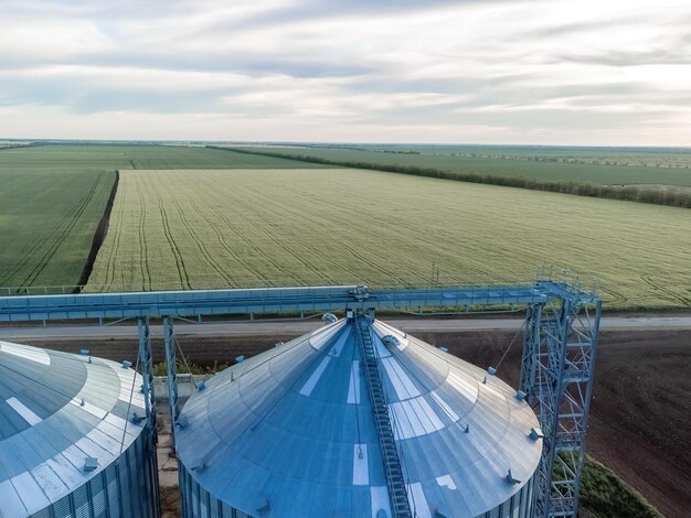 Getreideelevator Metallgetreideelevator in der landwirtschaftlichen Zone Landwirtschaftsspeicher für Erntegetreidesilos